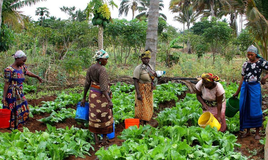 About Vuna Fresh